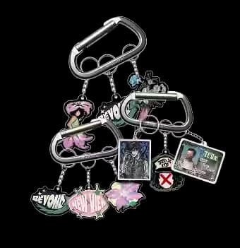Carabiner & Choose 3 Keychains