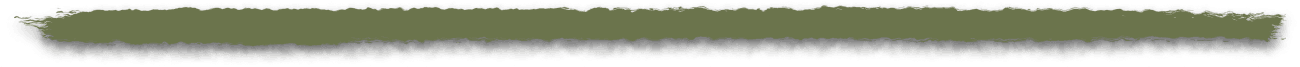 Timeline Line