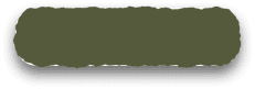 Date Background